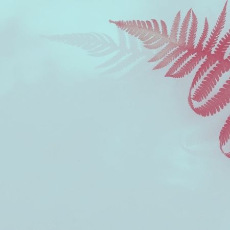 Ablauf_Projekte(1)